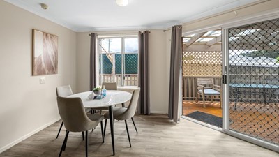 Waratah - Elderberry - Waratah, NSW Image 4