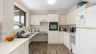 Waratah - Elderberry - Waratah, NSW Image 3